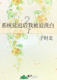 真三国无双8