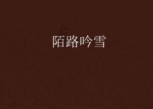 Bingo答对了-知识星球平台