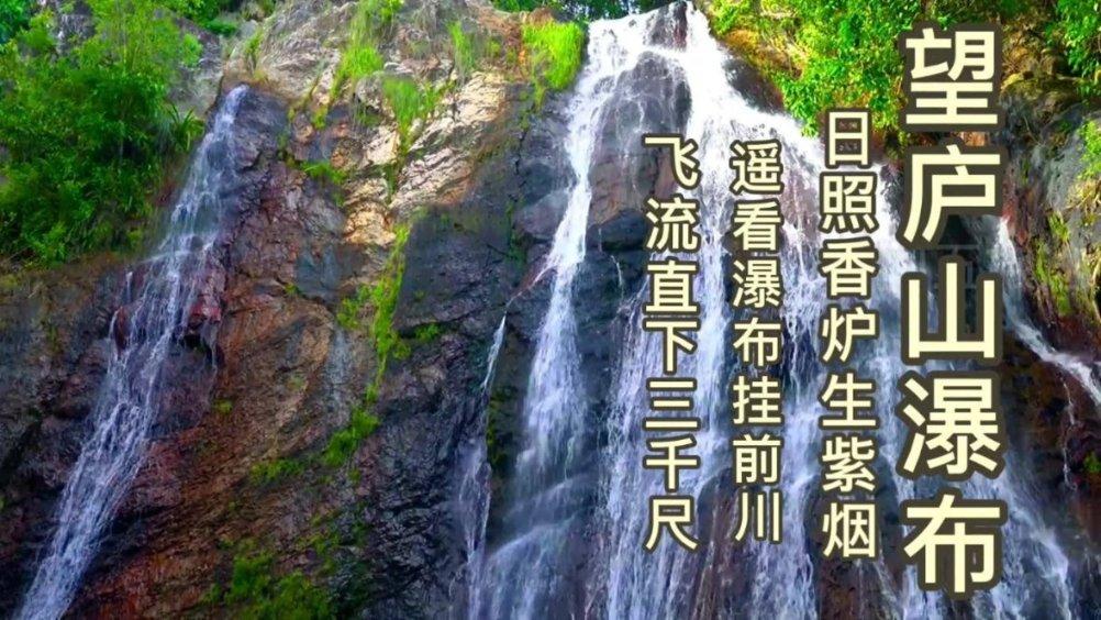 救援小白狼