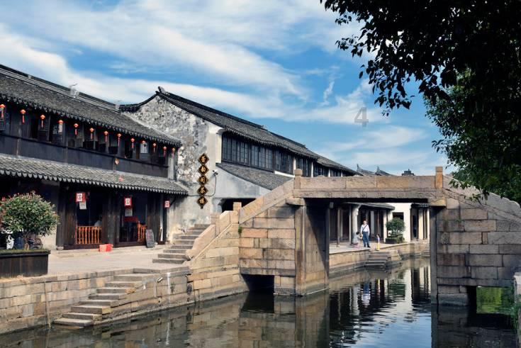 饿狮救援